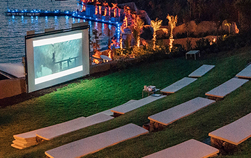 Projection/Video
